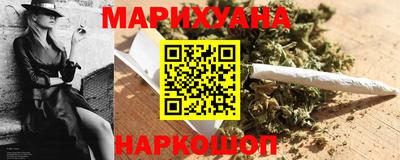 индика Новодвинск