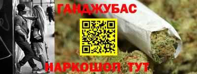 индика Новодвинск