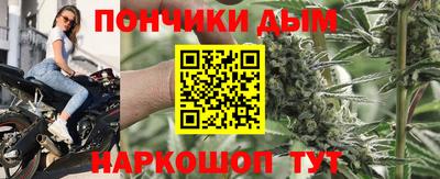 индика Новодвинск