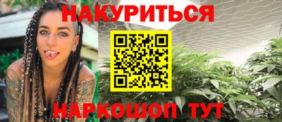индика Новодвинск