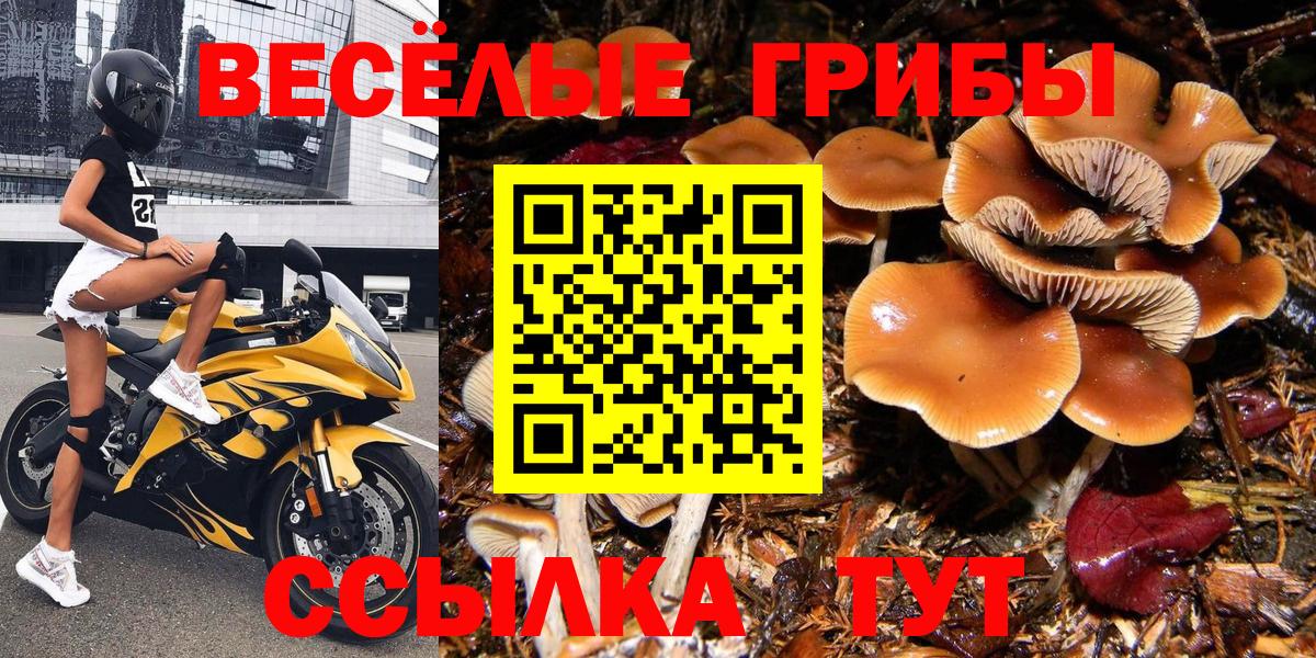 Псилоцибиновые грибы прущие грибы  Псилоцибиновые грибы мицелий  Вход с VPN  Сафоново 